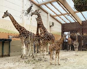 Leipzig: Zoosaison offiziell gestartet